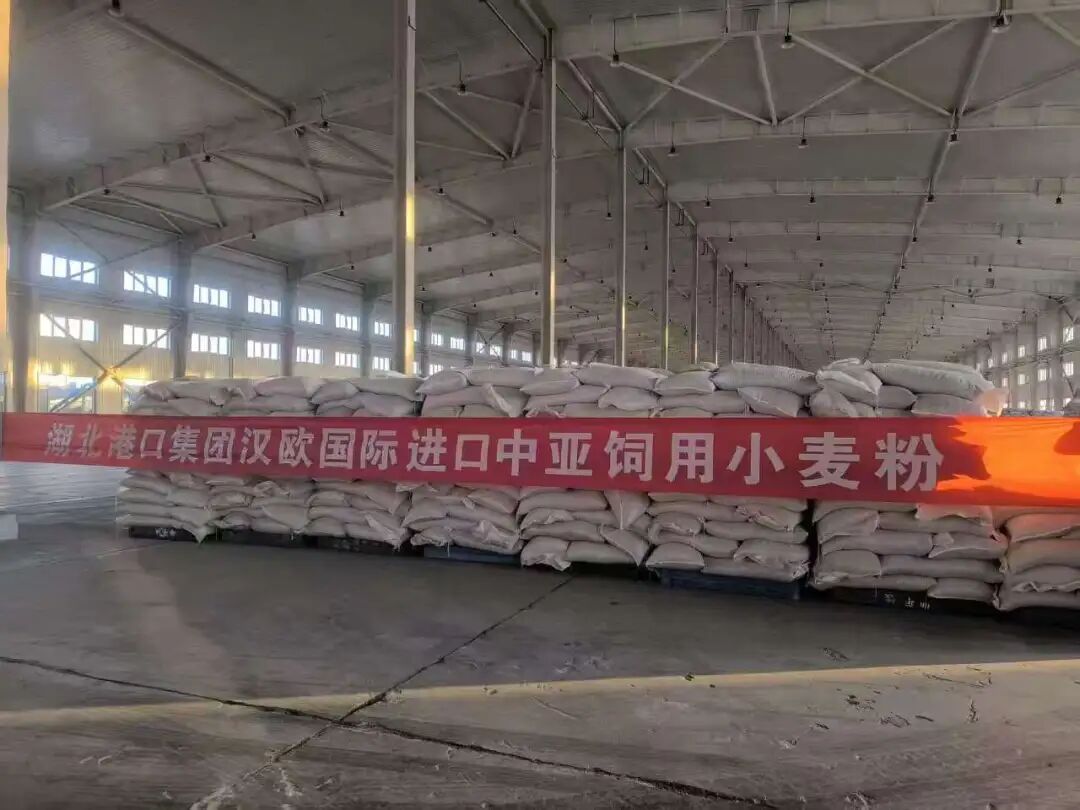 英国·威廉希尔(WilliamHill)中文官方网站