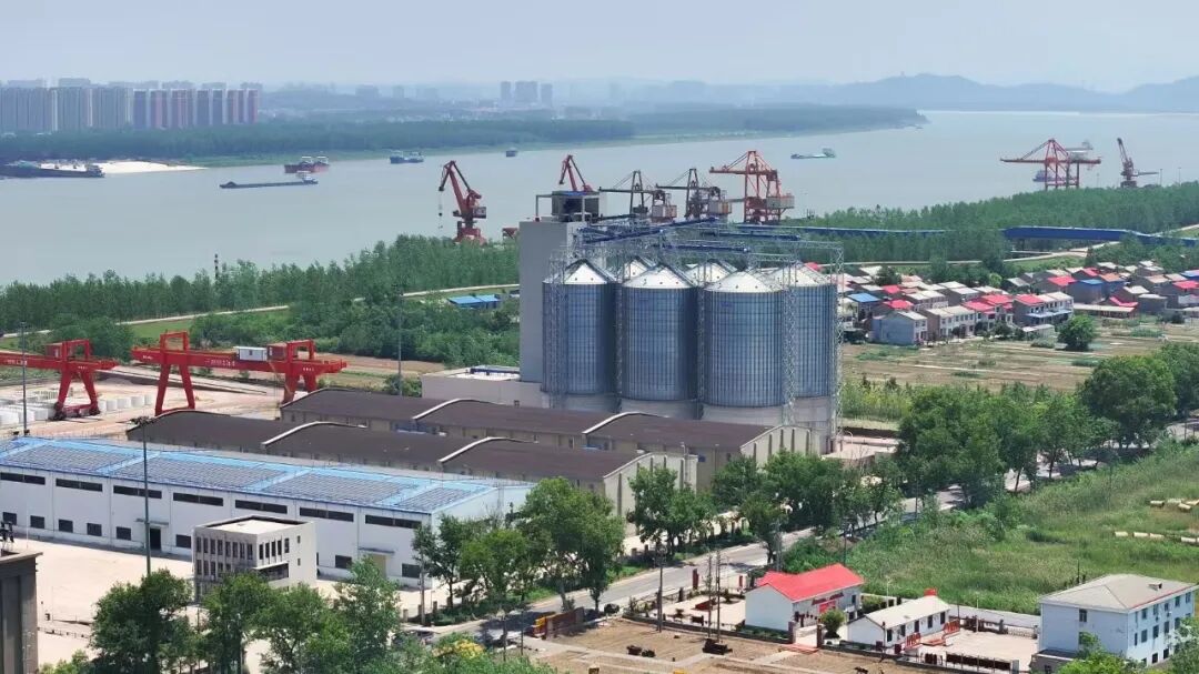 英国·威廉希尔(WilliamHill)中文官方网站